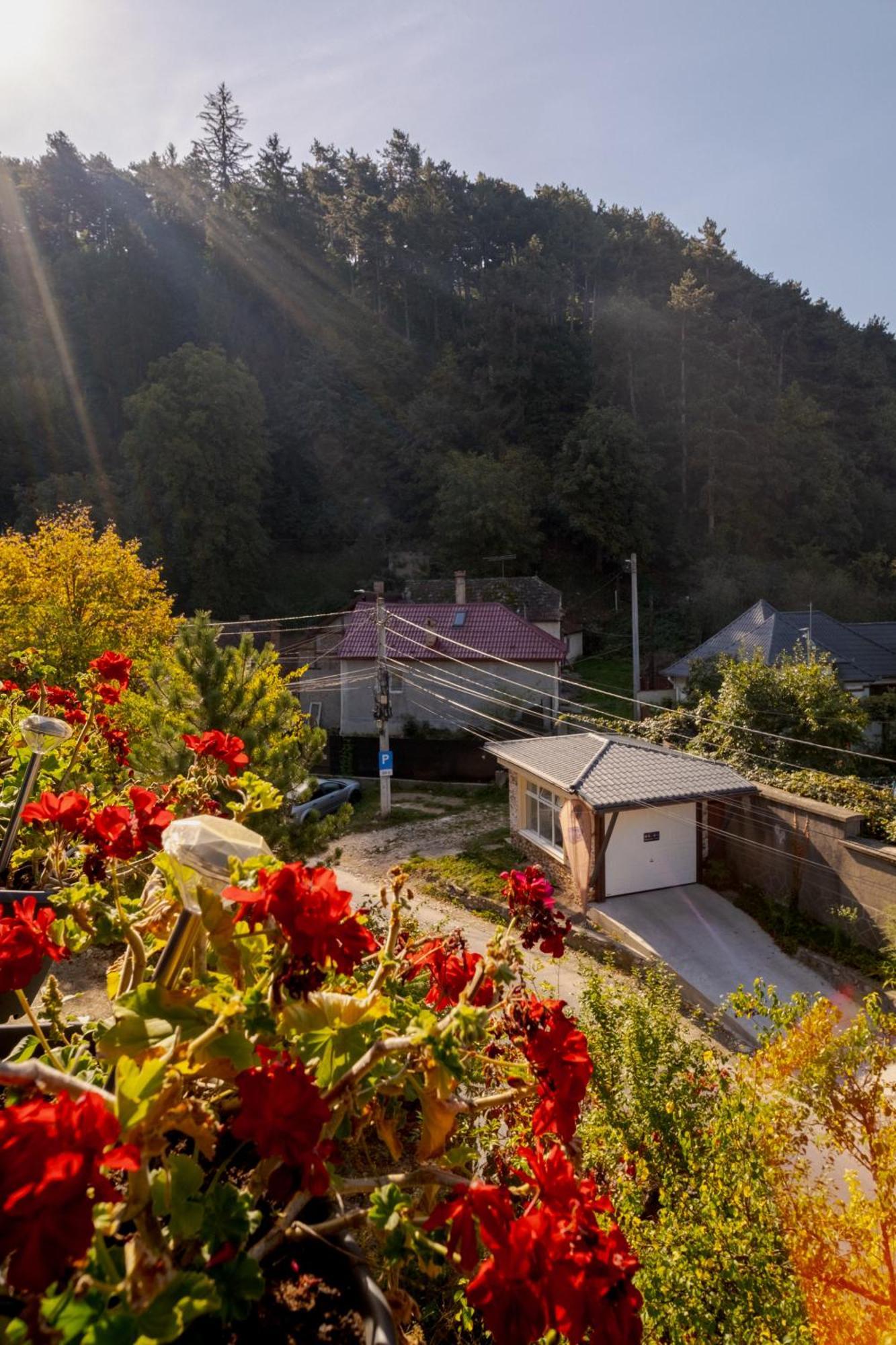 Casa Pe Vale Hotel Rîşnov Exterior foto